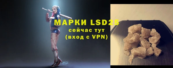спиды Аркадак