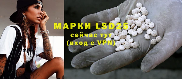 спиды Аркадак