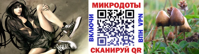 даркнет сайт  Рыбинск  нарко площадка клад  Псилоцибиновые грибы Cubensis  ссылка на мегу как войти 